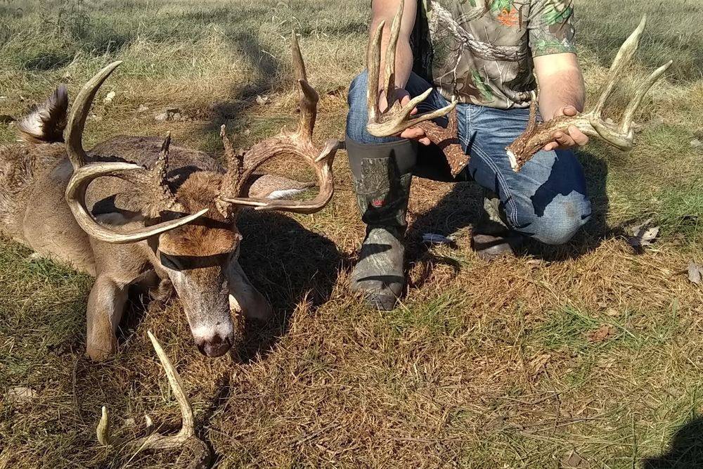 Whitetail Deer Hunts