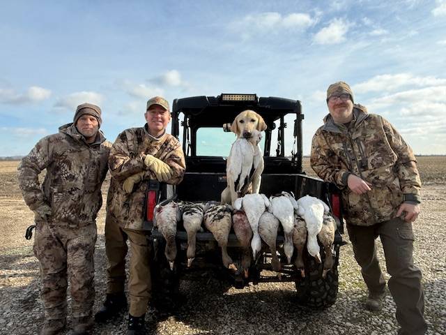 Late Season Goose Hunts photo