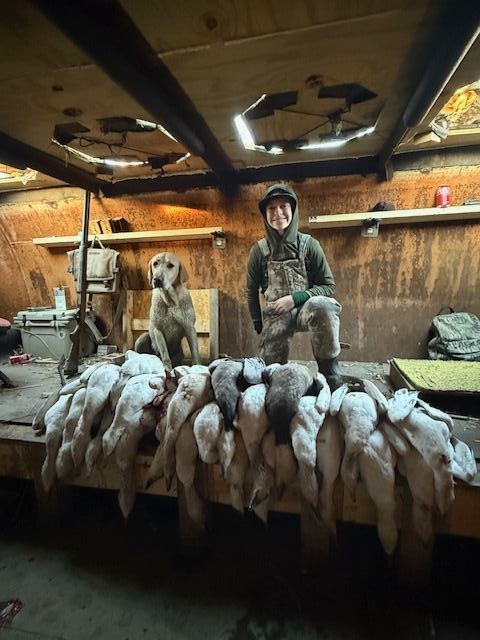 Conservation Snow Goose Hunts photo
