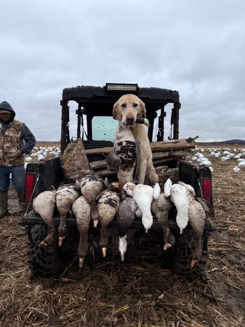 Bad Habit Outdoors hunt photo