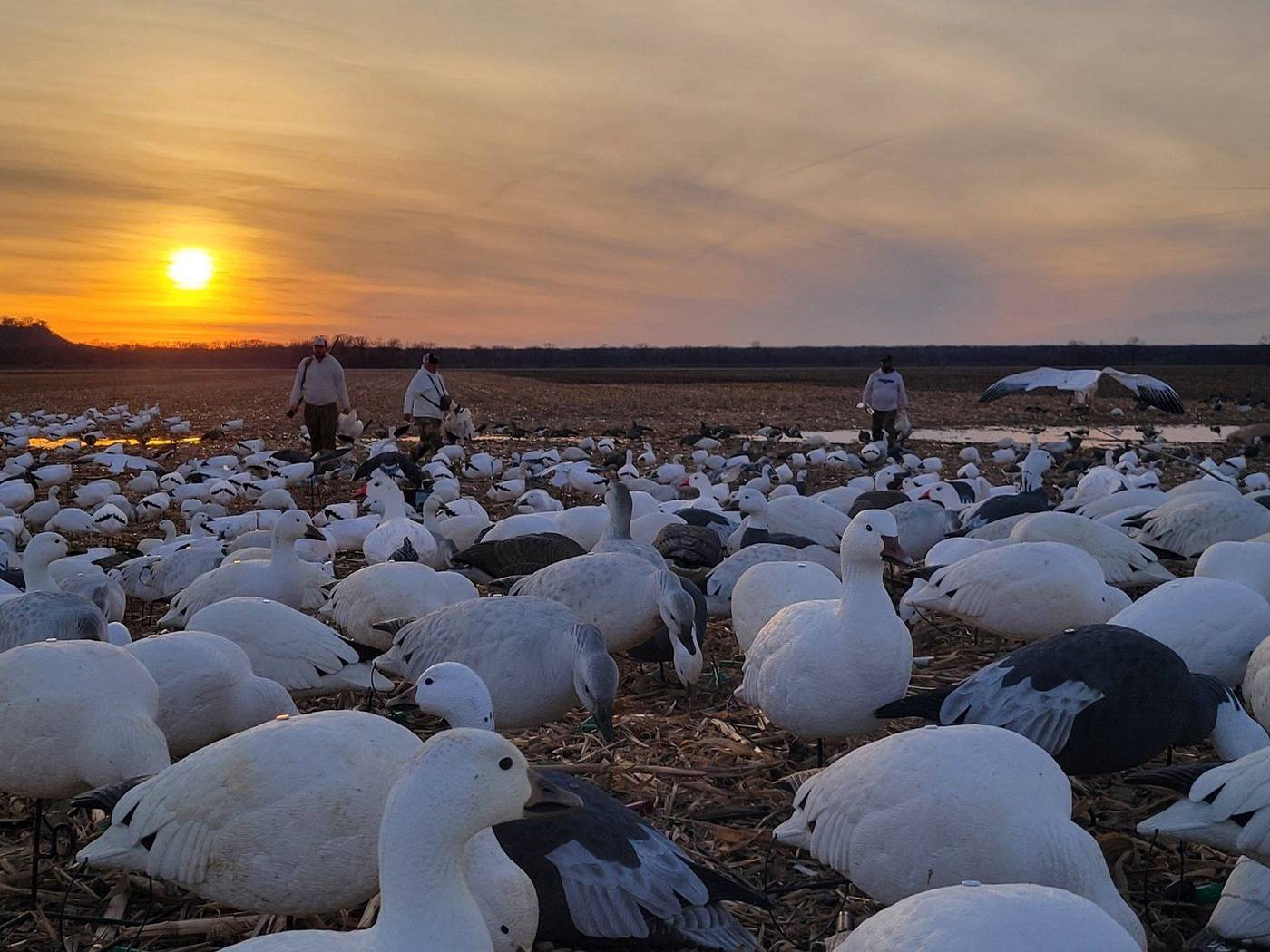 Bad Habit Outdoors hunt photo