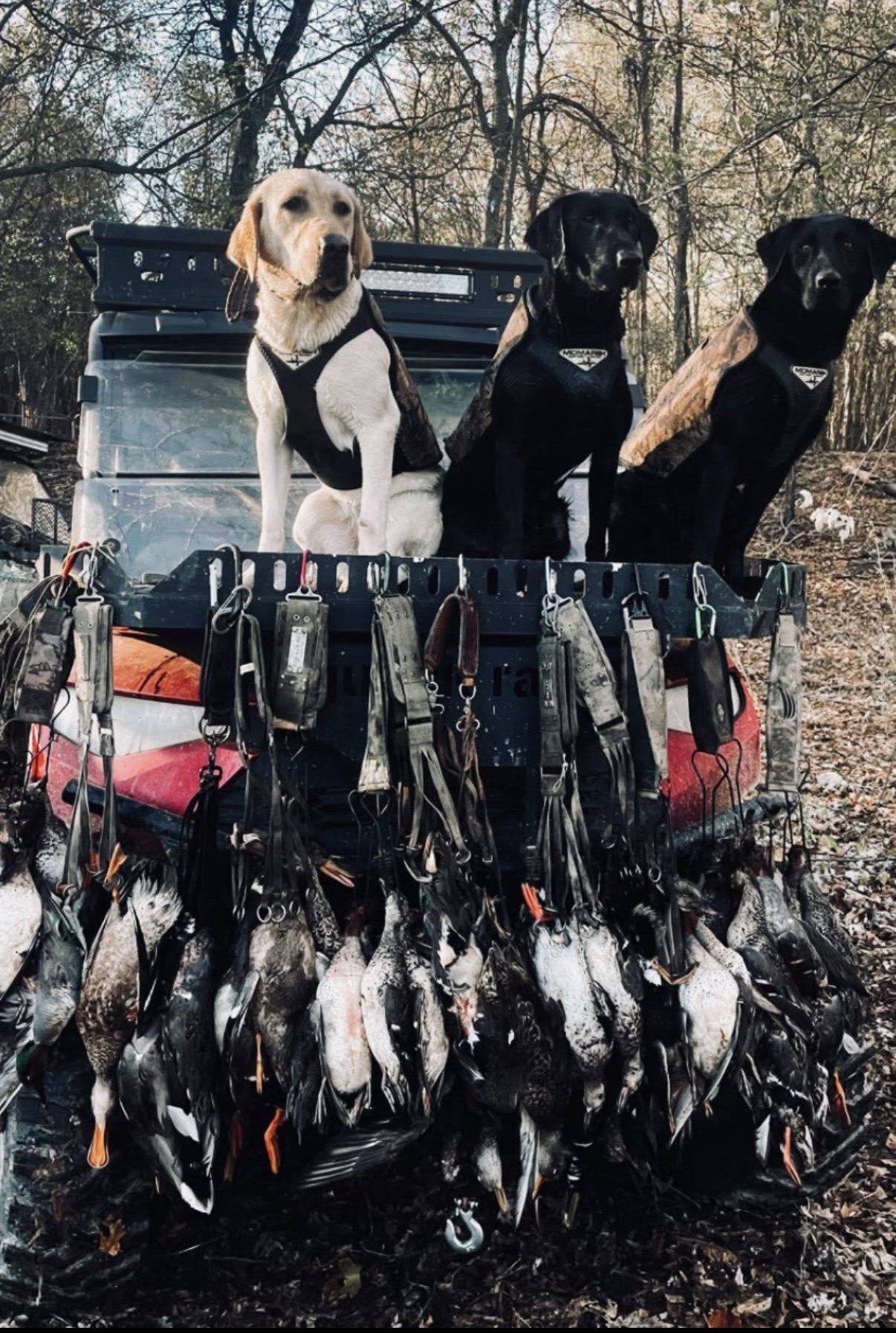 Bad Habit Outdoors hunt photo