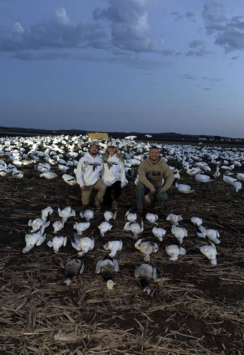 Conservation Snow Goose Hunts photo