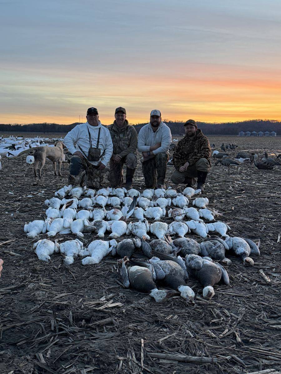 Conservation Snow Goose Hunts photo