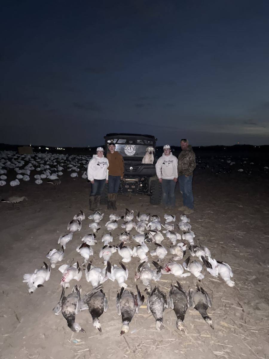 Conservation Snow Goose Hunts photo