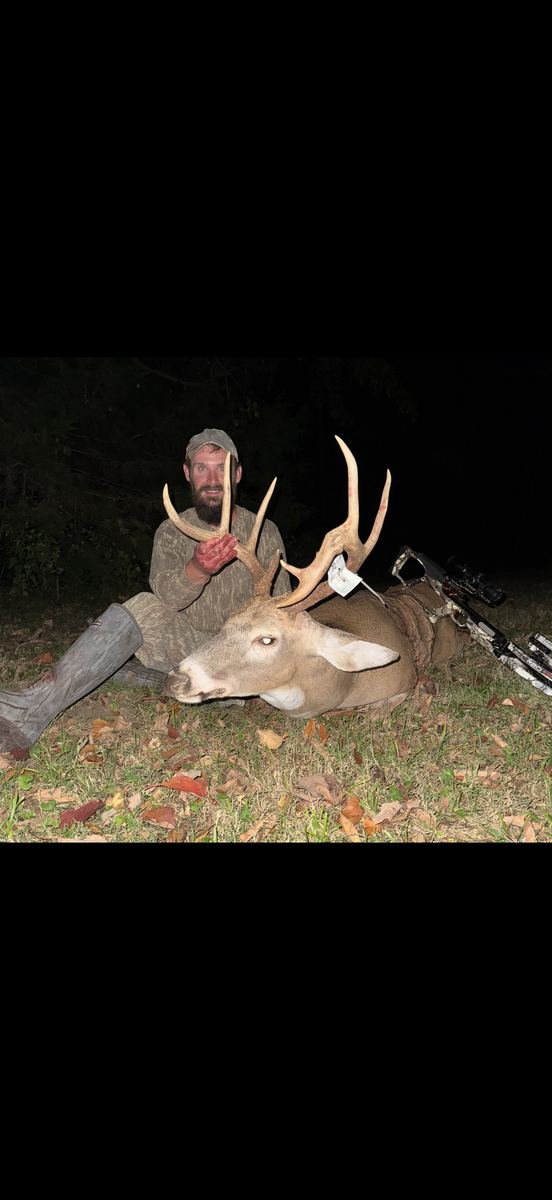 Whitetail Deer Hunts photo